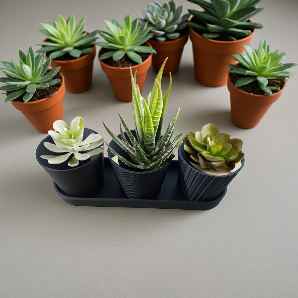 Luxury Set of 3 Mini Planter Pot Modern Design with Drainage Indoor Plant Pot
