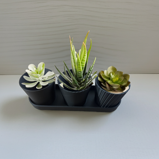 Luxury Set of 3 Mini Planter Pot Modern Design with Drainage Indoor Plant Pot