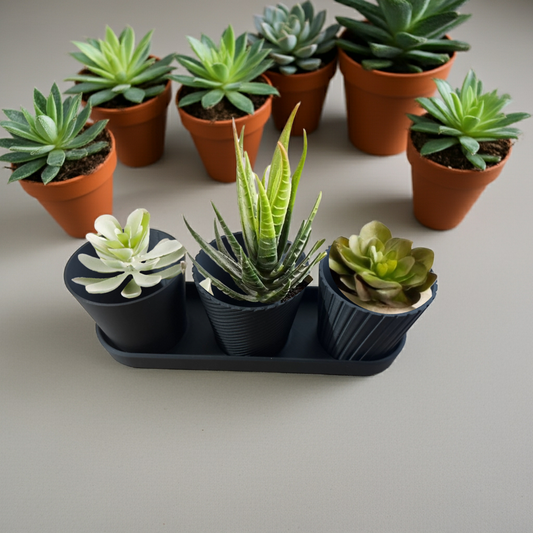 Luxury Set of 3 Mini Planter Pot